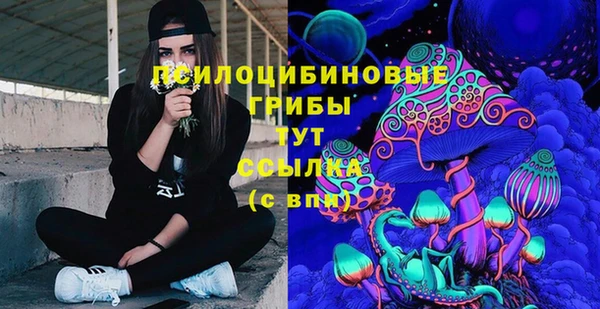 гашик Белоозёрский