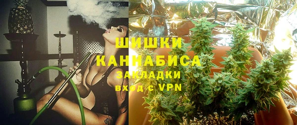 гашик Белоозёрский