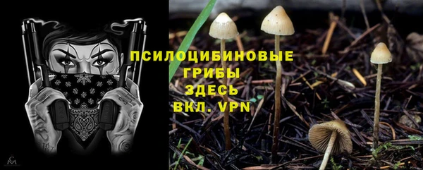 герыч Беломорск
