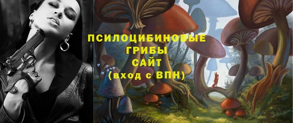 гашик Белоозёрский